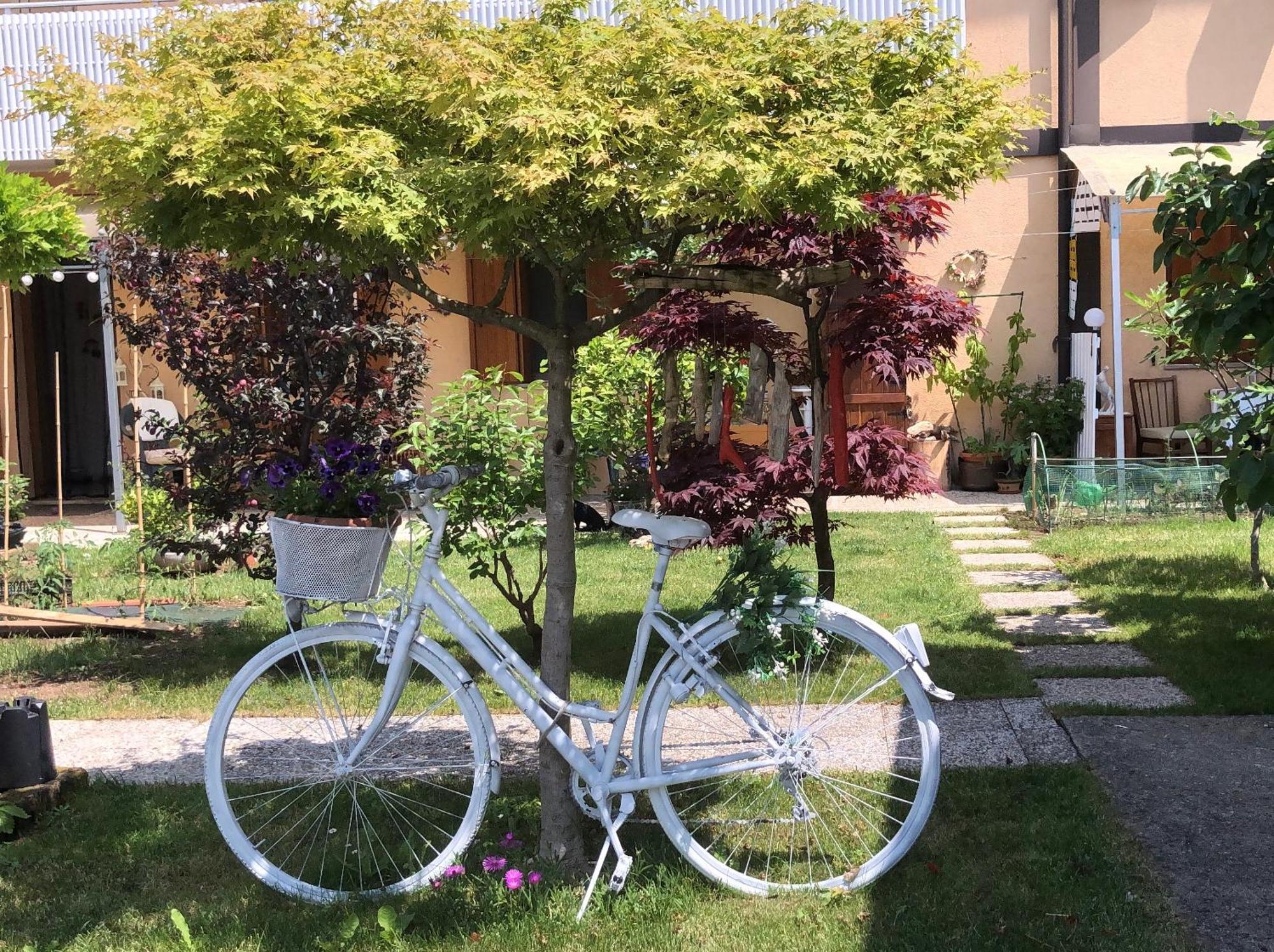 弗留利地区圣达尼埃莱Sensory Garden住宿加早餐旅馆 外观 照片